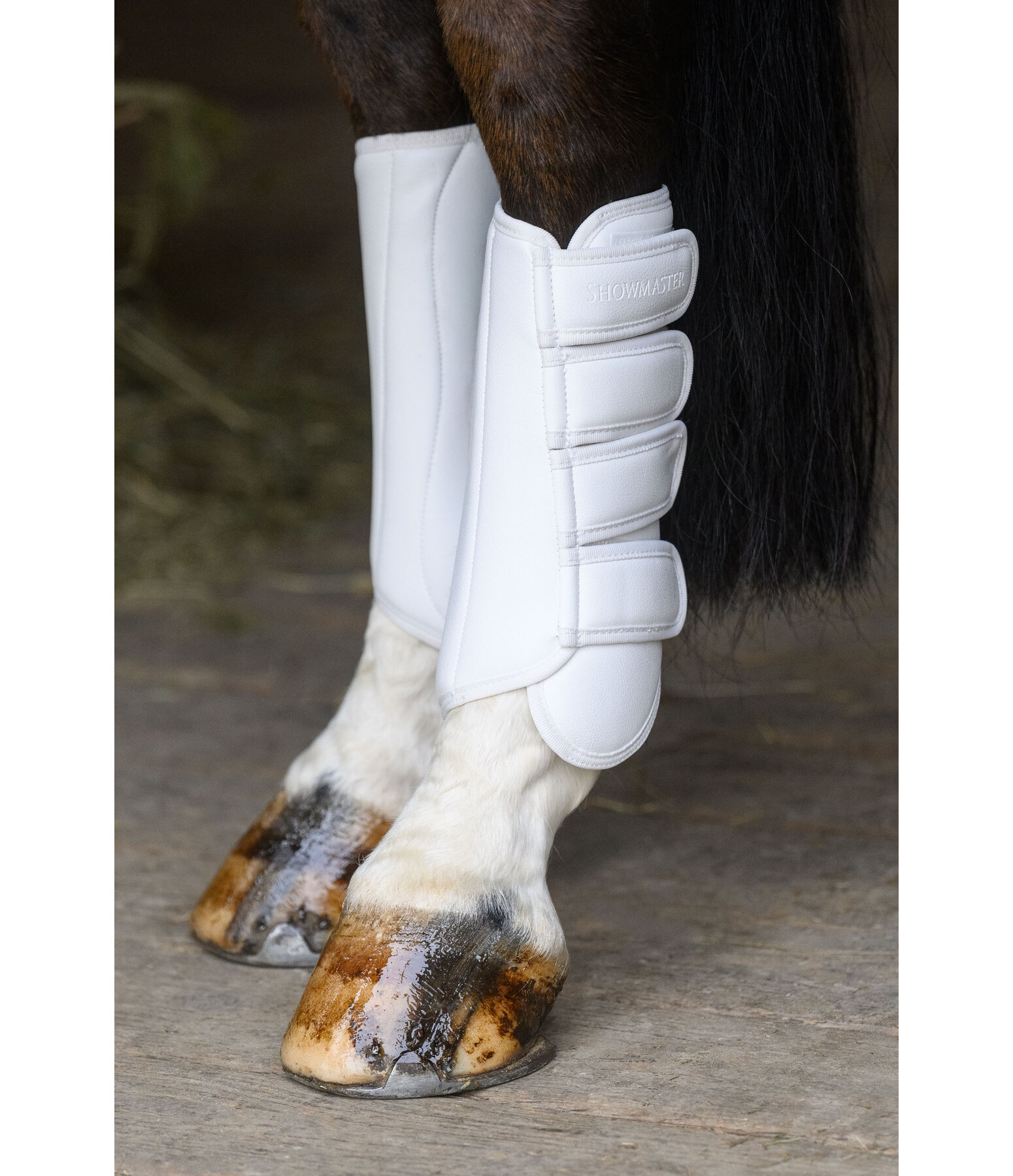 Gu�tres de dressage  All Day post�rieurs