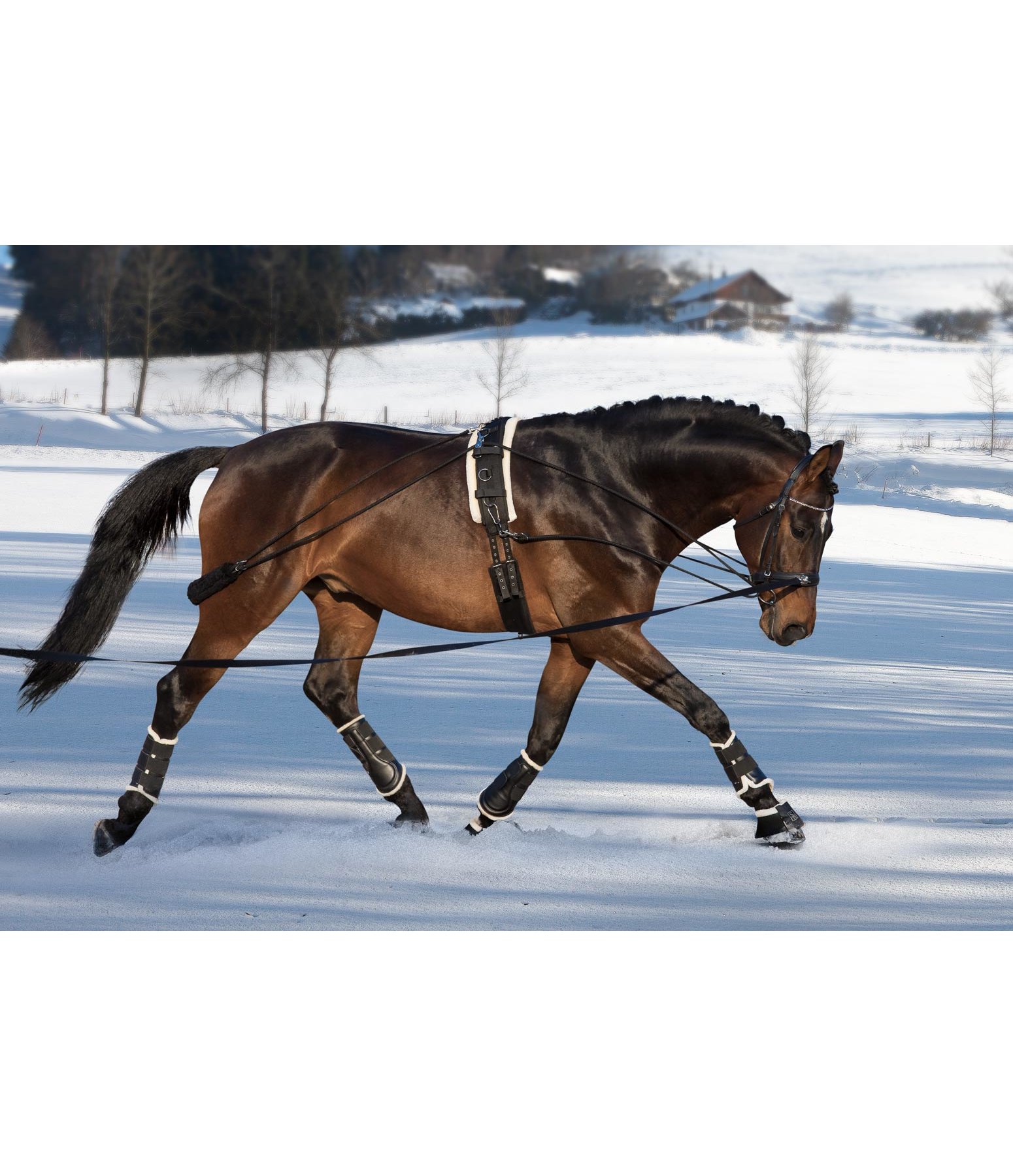 QHP Enrênement Pour Cheval D'aide à La Longe - Réglable, En Polyester Et Métal - Pour Détendre Et Travailler Le Dos Du Cheval - Tailles XS à XL
