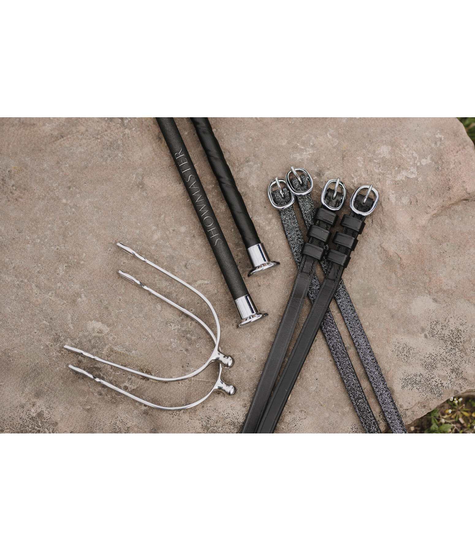 Cravache de dressage  Carbon