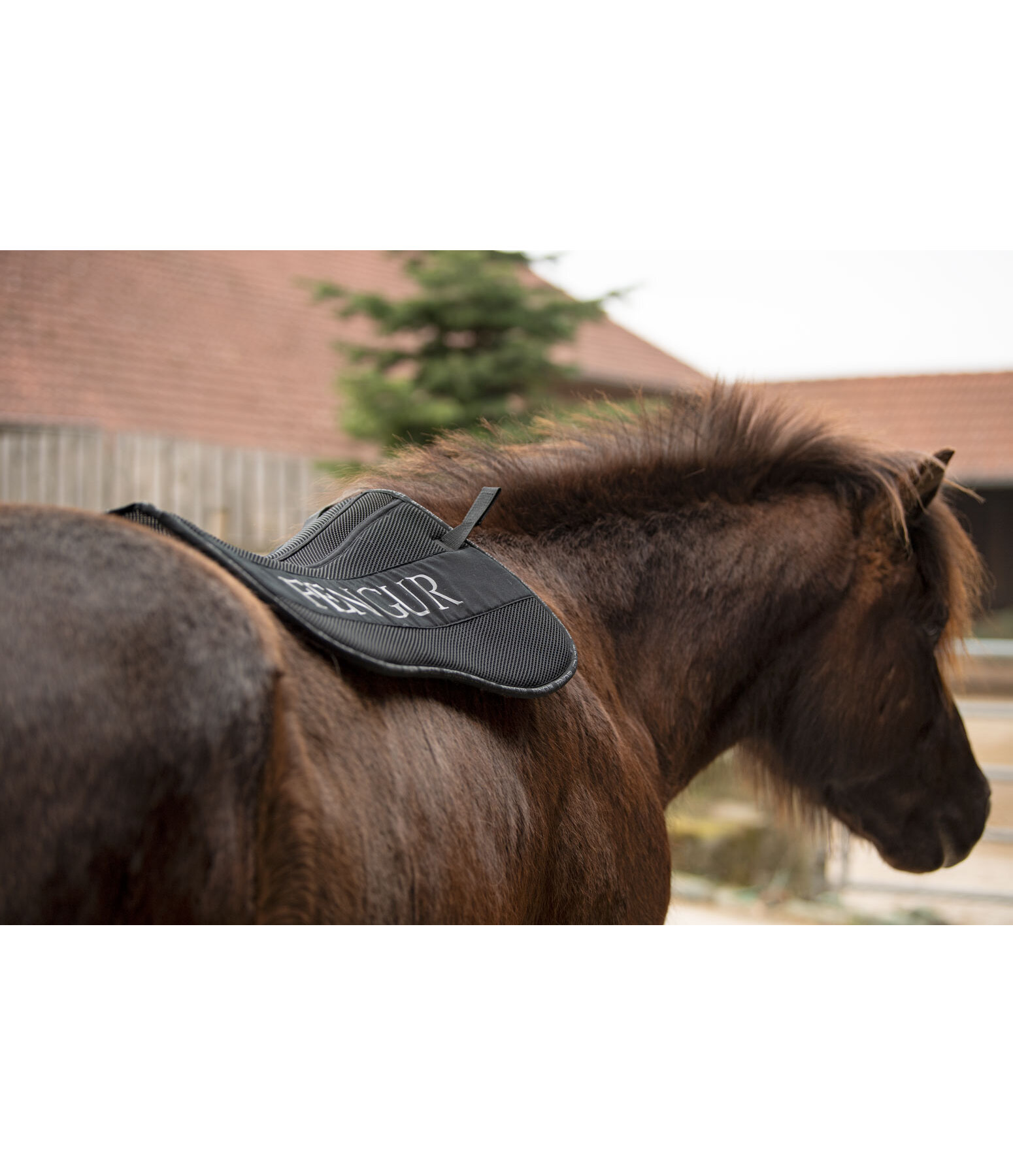 Amortisseur confort  Anda