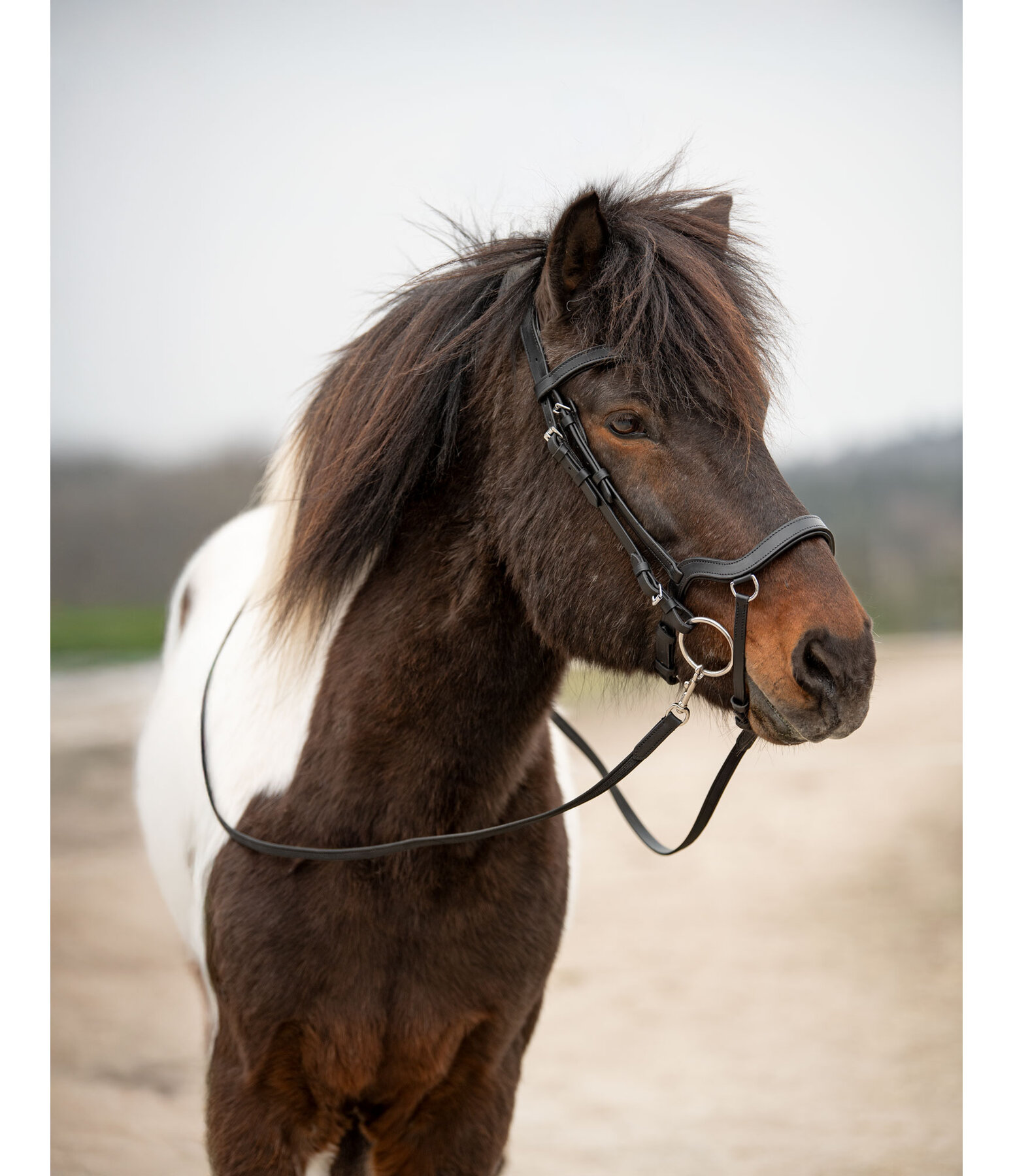 Bridon anatomique  Linur