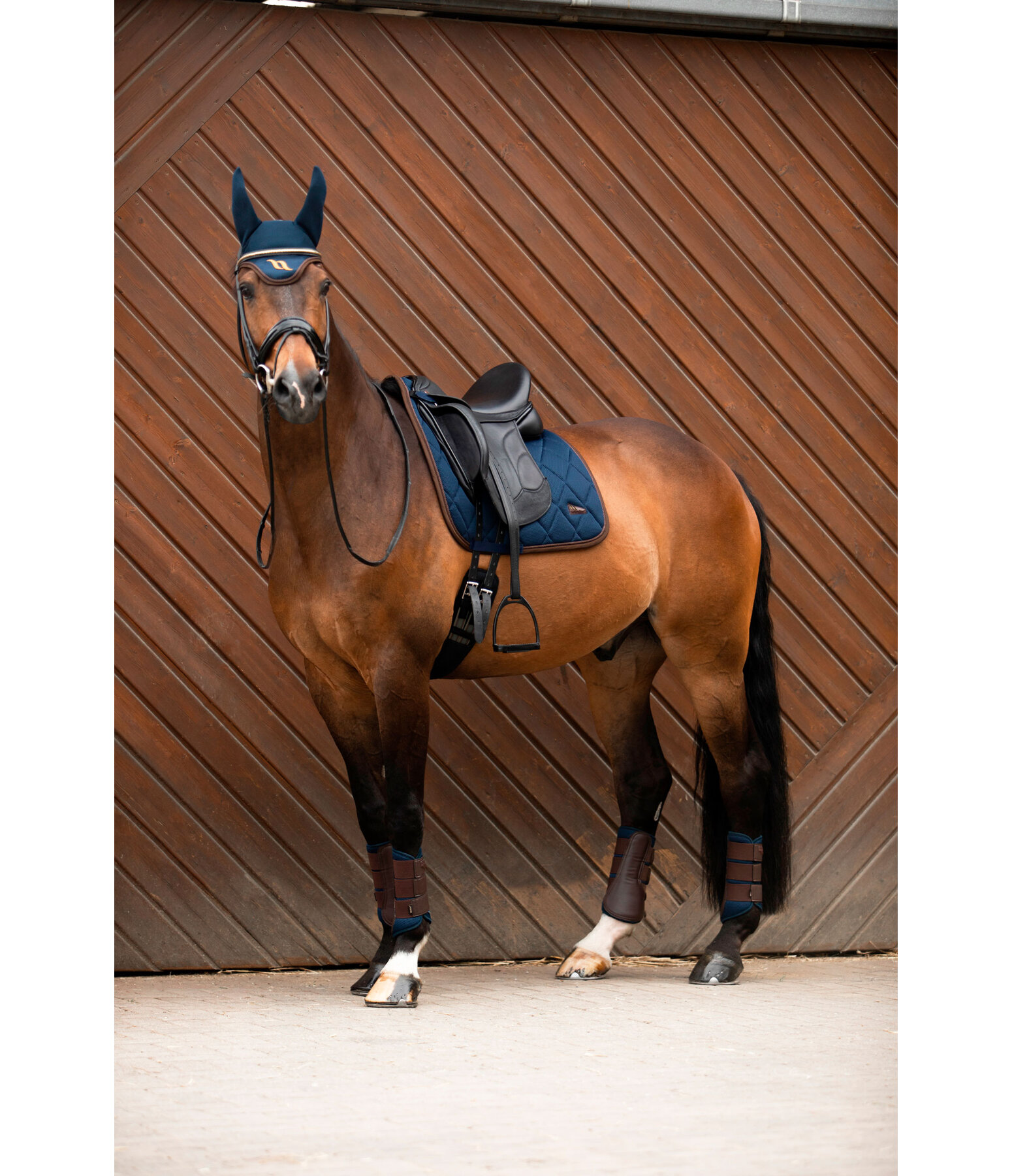 Kramer Magasin De Cheval _ Kramer Equitation – DUCY