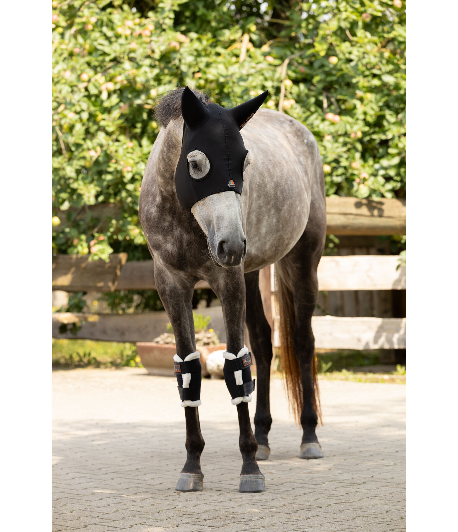 Genouill�res  Ceramic Rehab