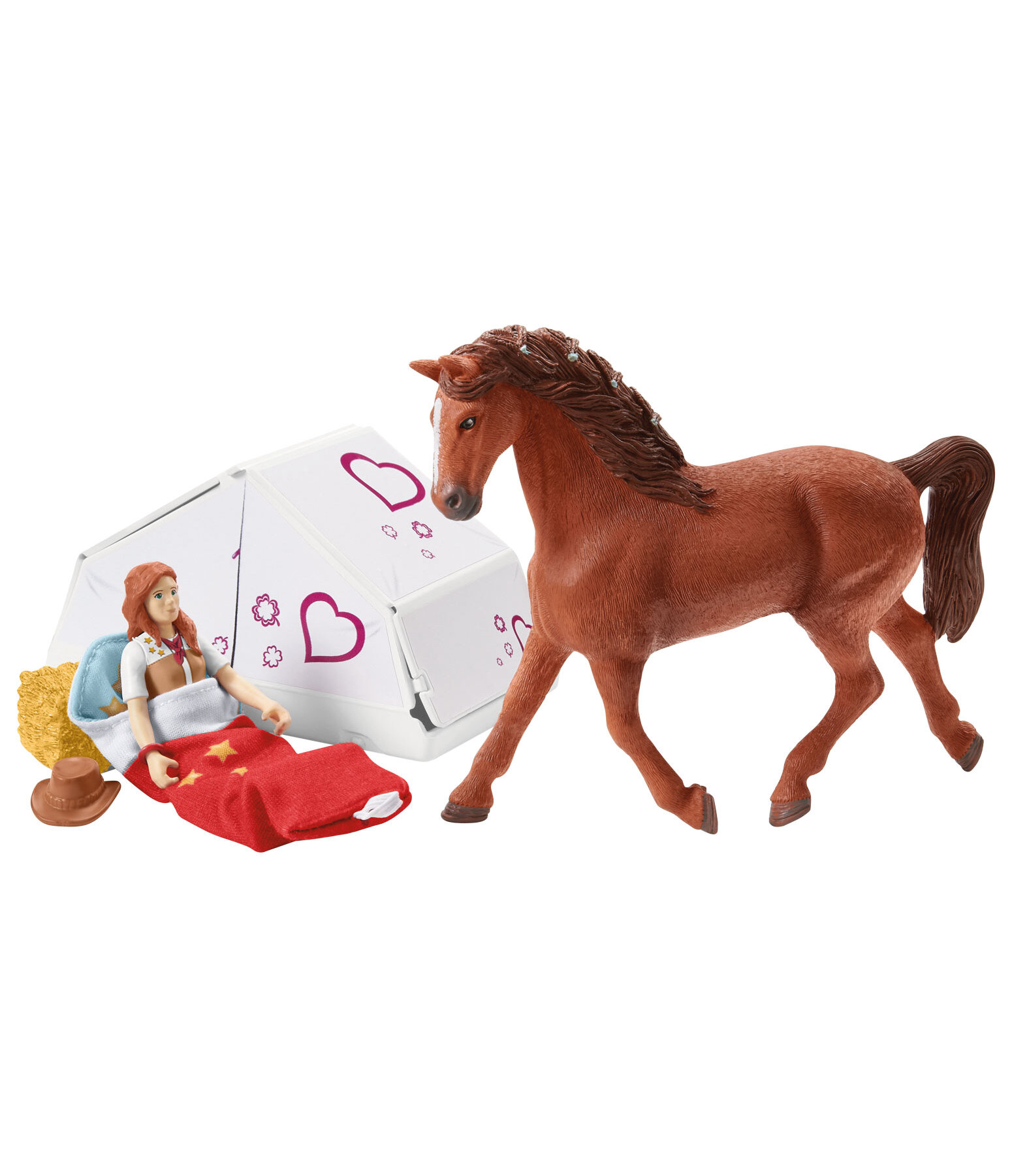 Aventure avec voiture et van  Horse Club