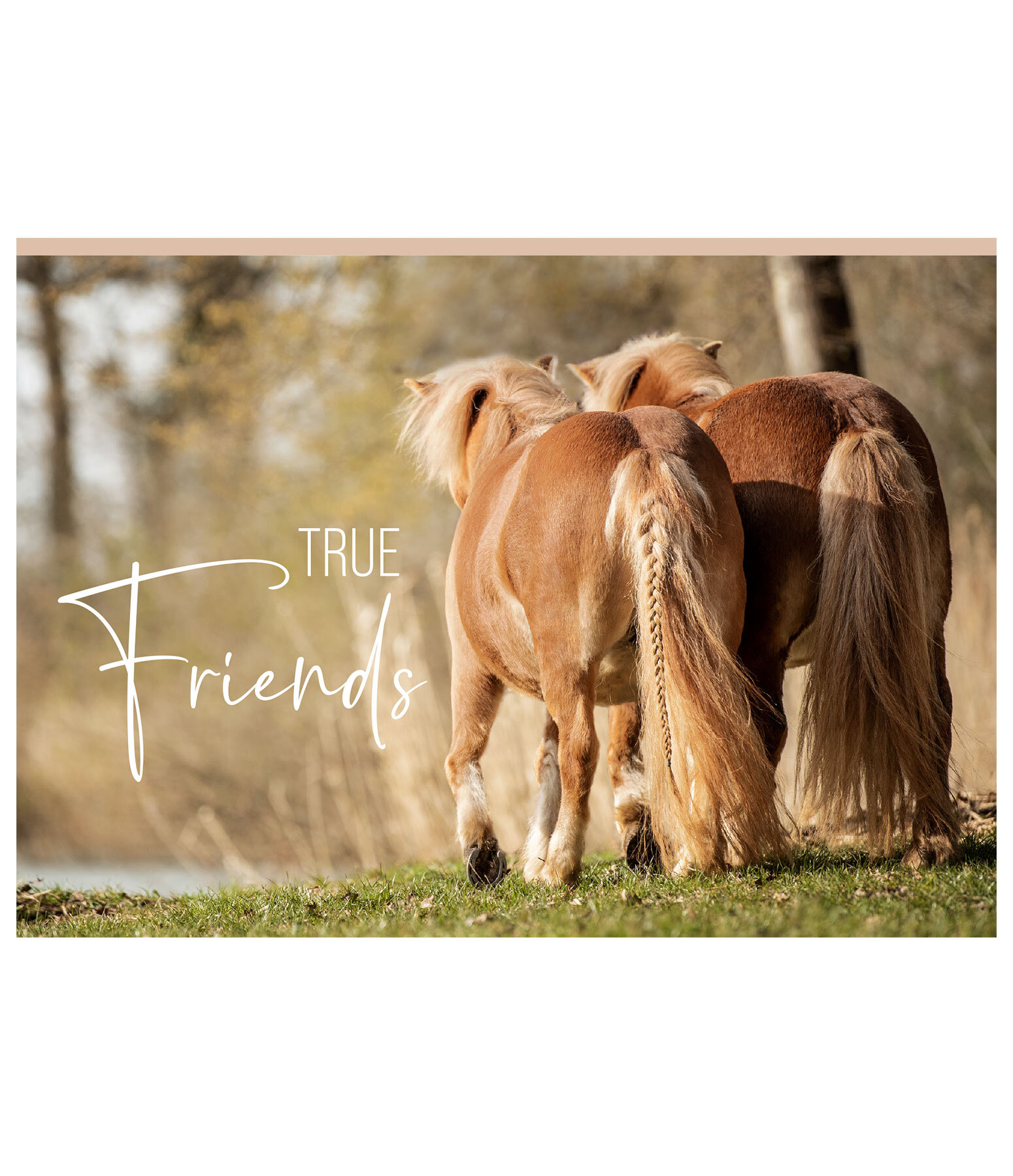 Carte  True Friends
