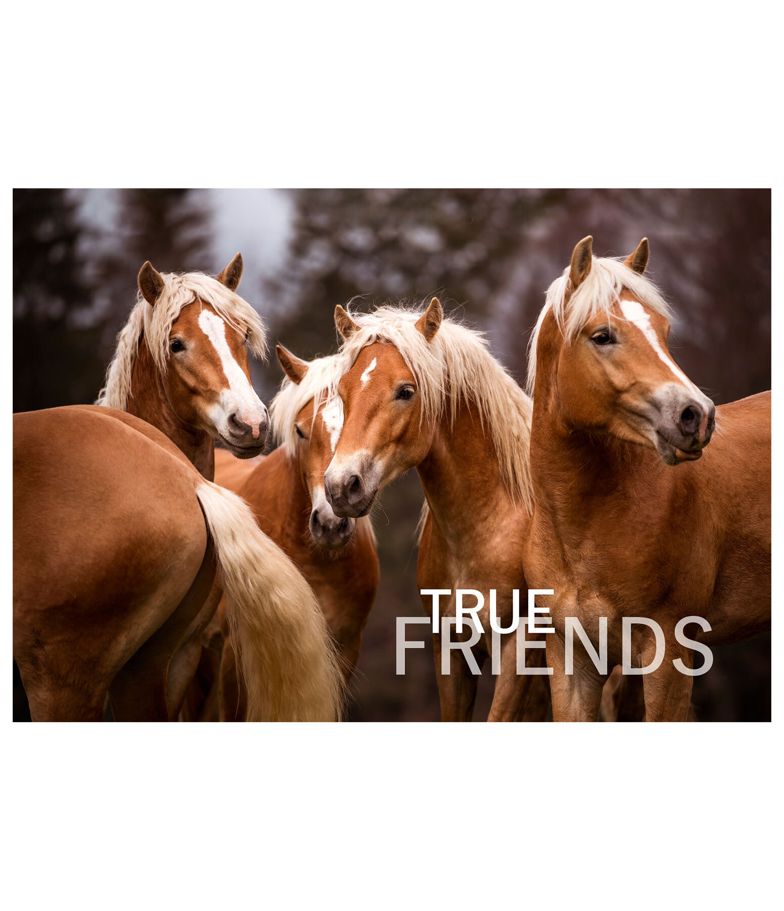Carte de voeux True Friends