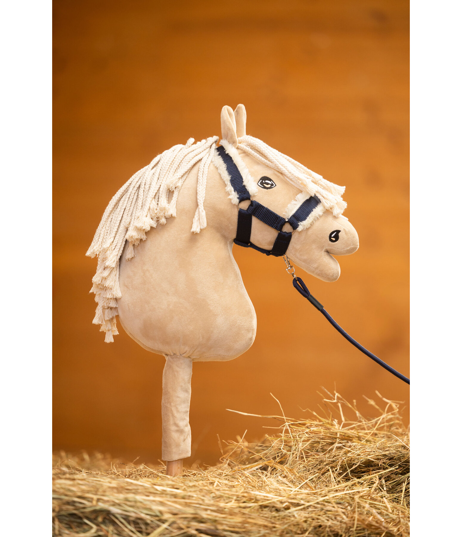 Lot bridon  pour le cheval Hobby Jumper