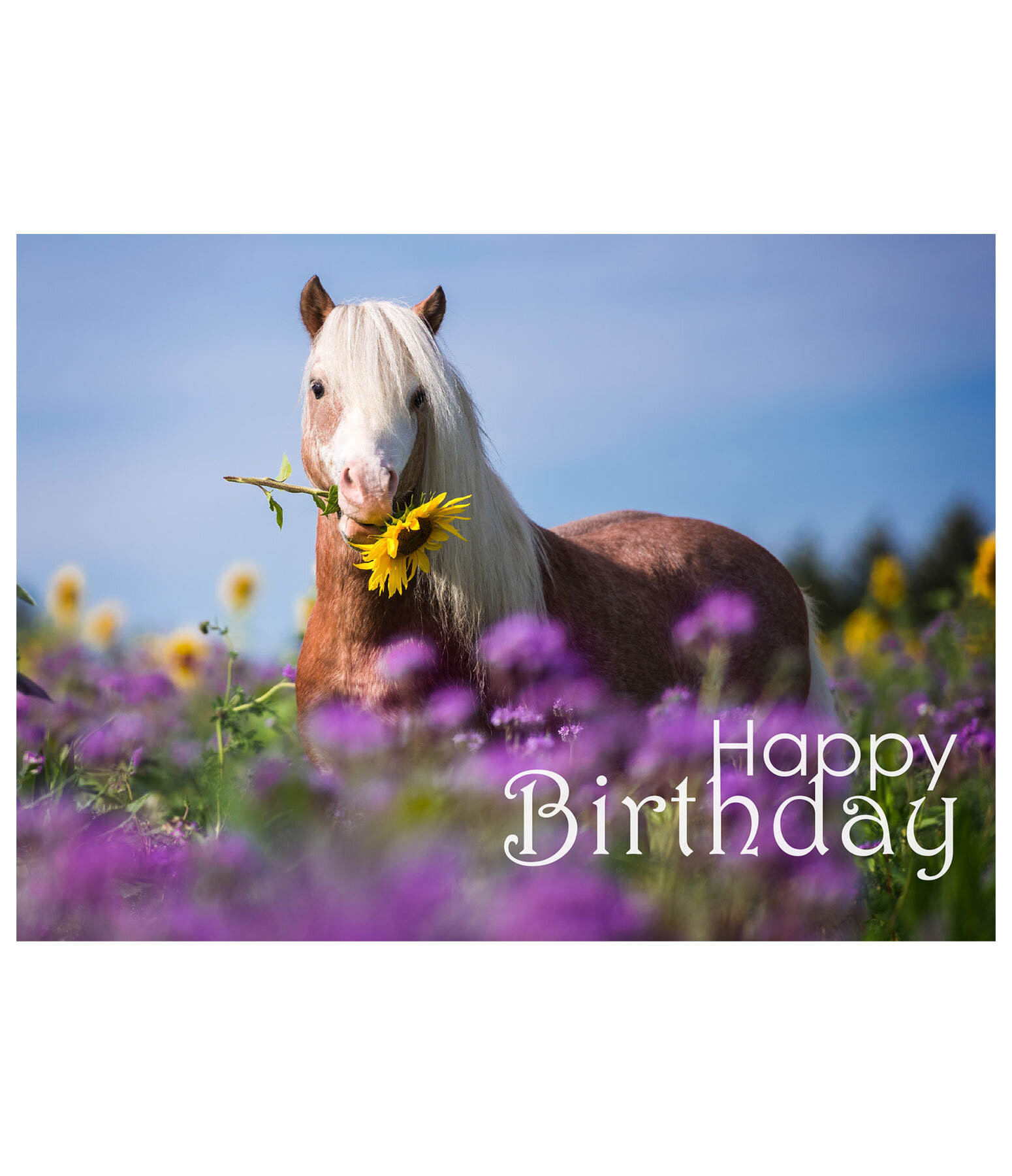 Carte de voeux  Happy Birthday II