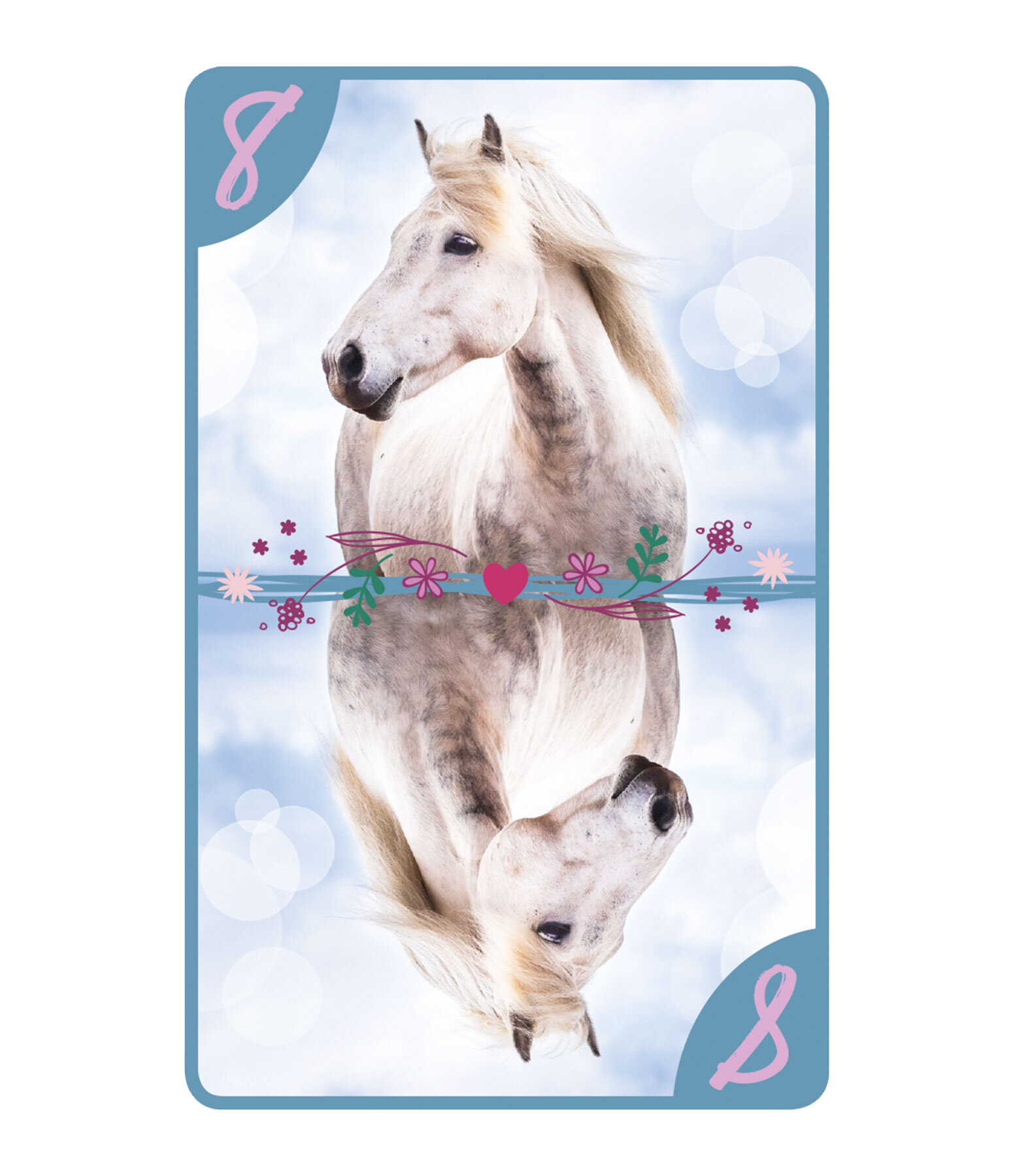 8 amricain  Amis des chevaux