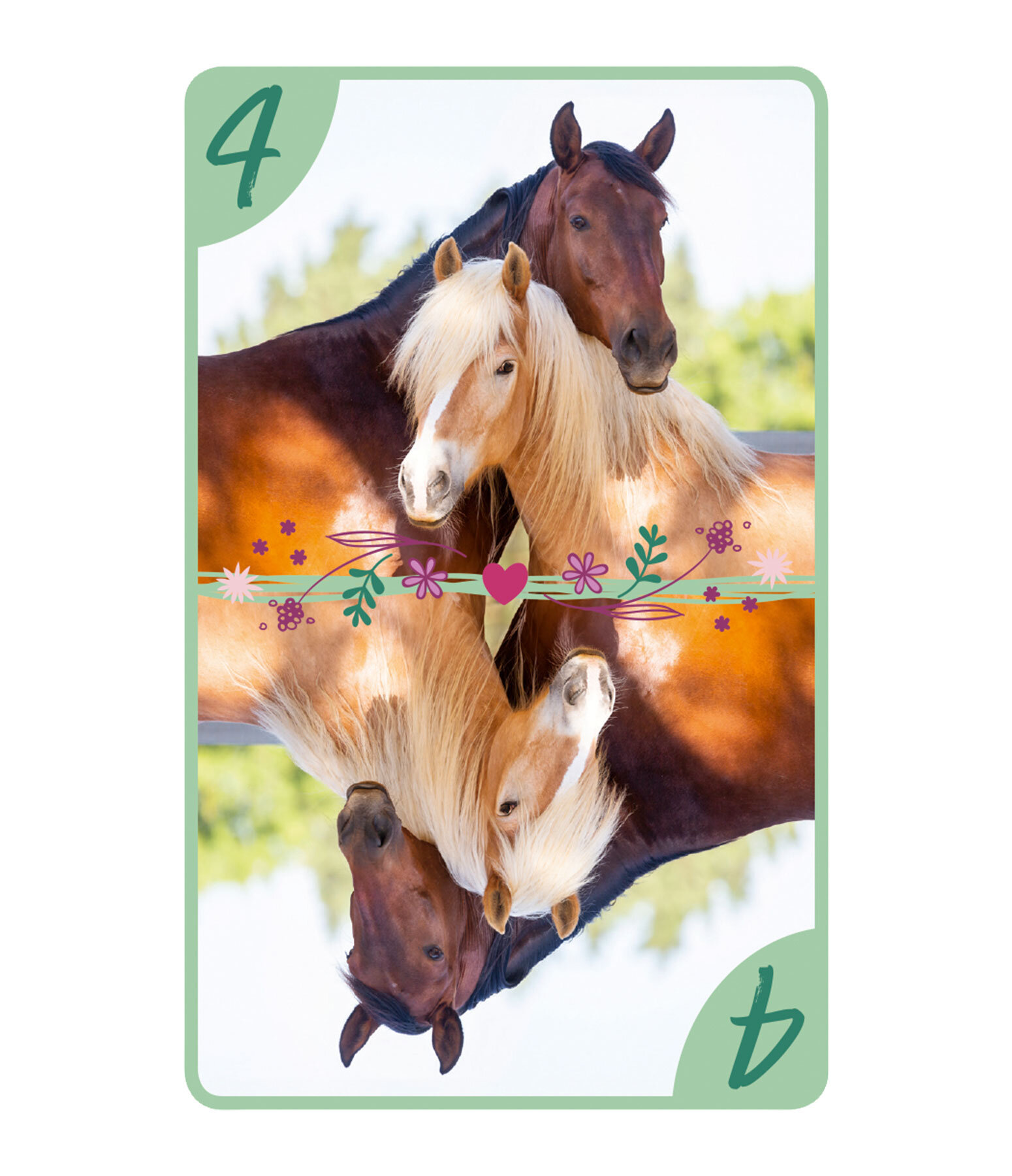 8 amricain  Amis des chevaux