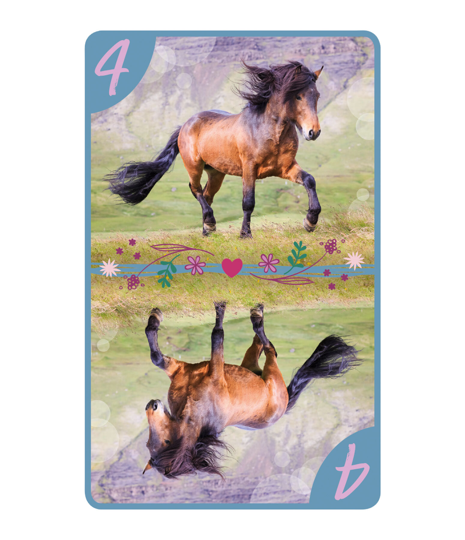 8 amricain  Amis des chevaux