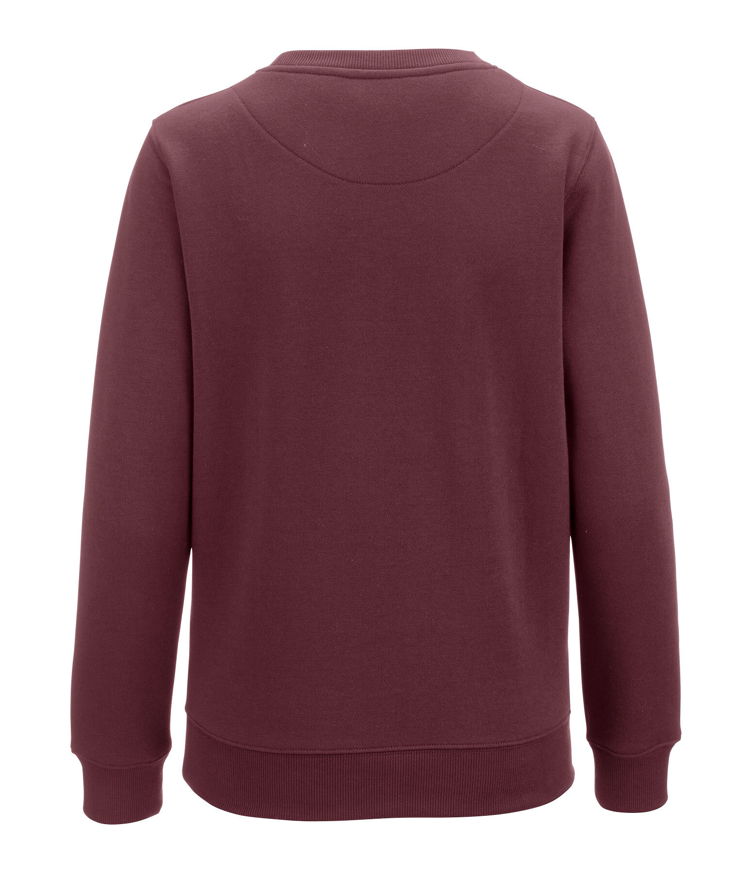 Pull de No�l  Cozy Christmas