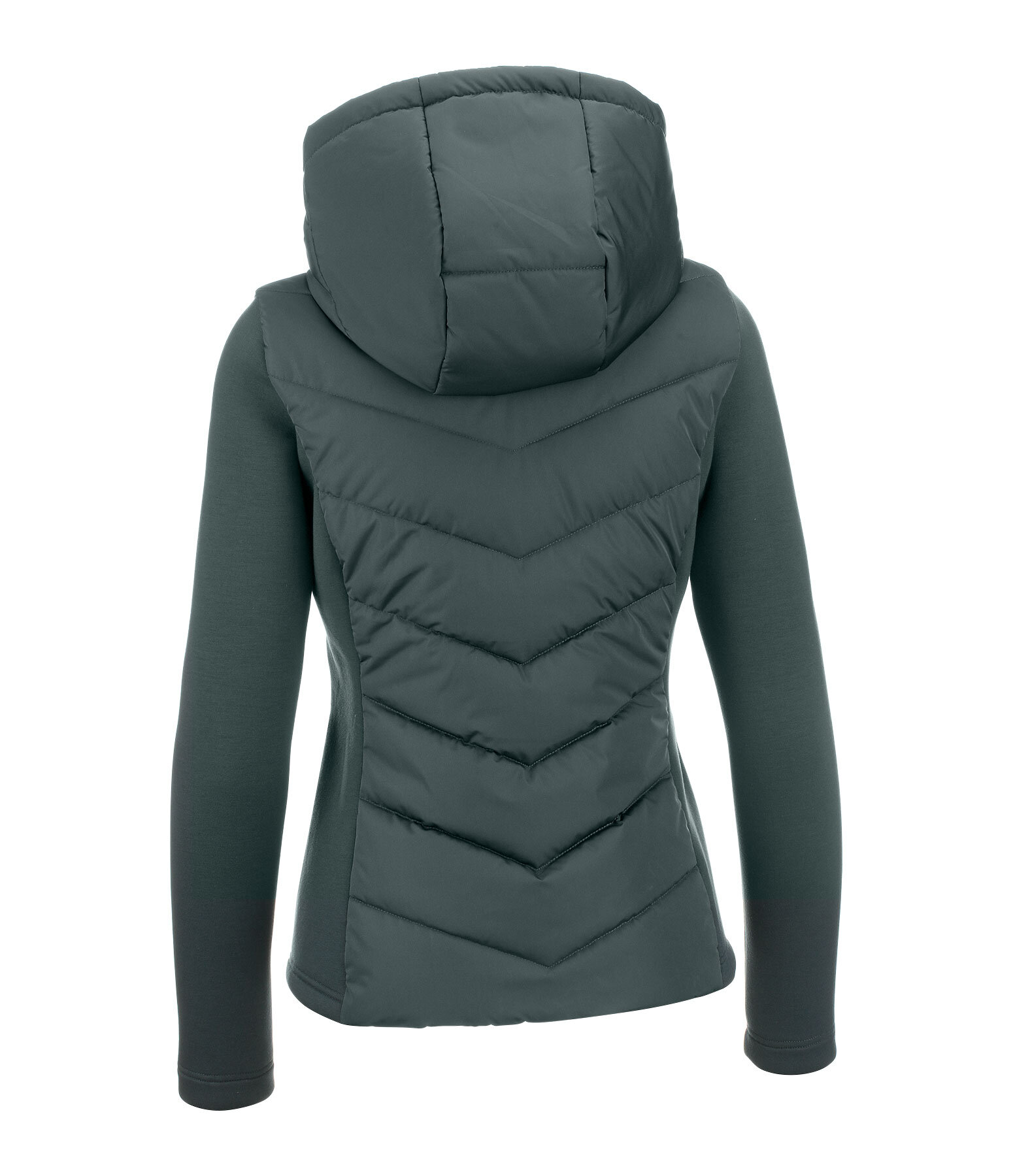 Veste d'quitation bi-matire  capuche  Melli