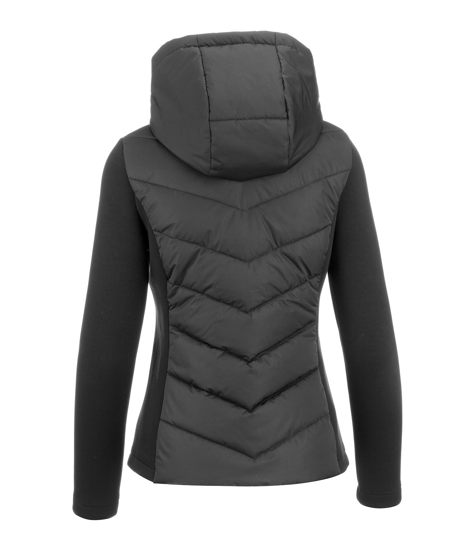 Veste d'quitation bi-matire  capuche  Melli