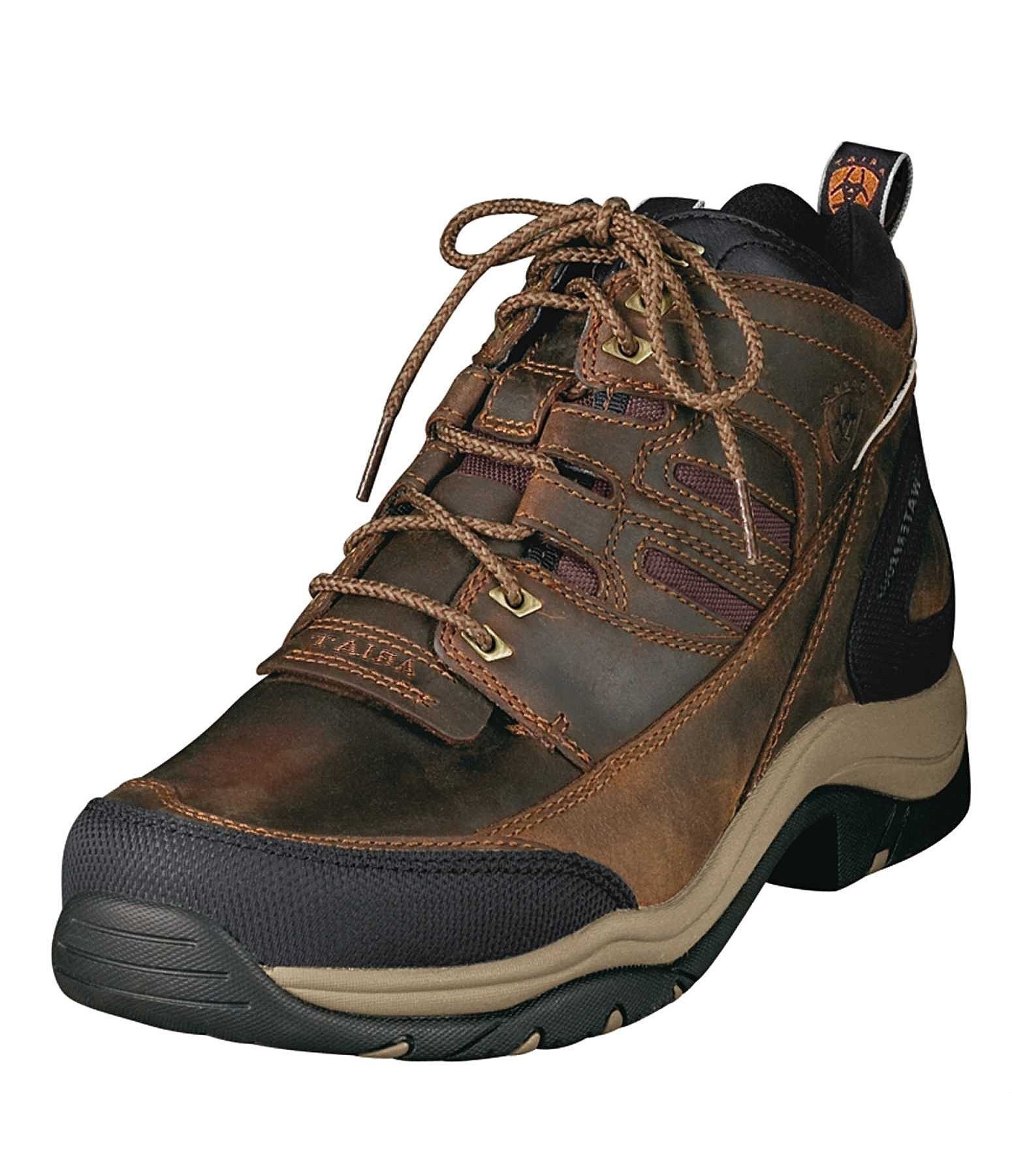 Chaussures D'équitation Rhinegold Pour Homme - Noir, Taille 38 EU, Semelle Antidérapante