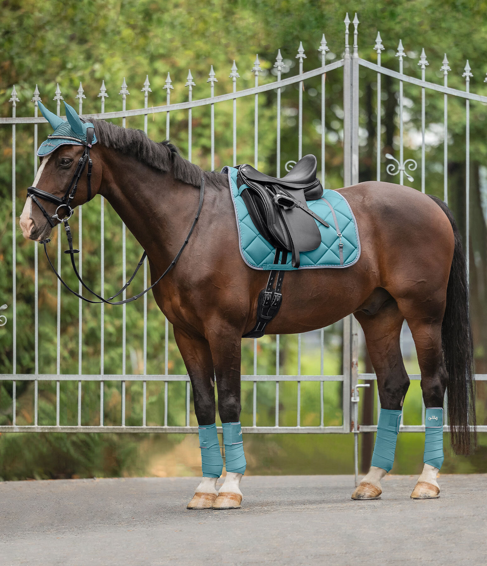 Tenue Felix Bühler Classy en vert candy Kramer Equitation