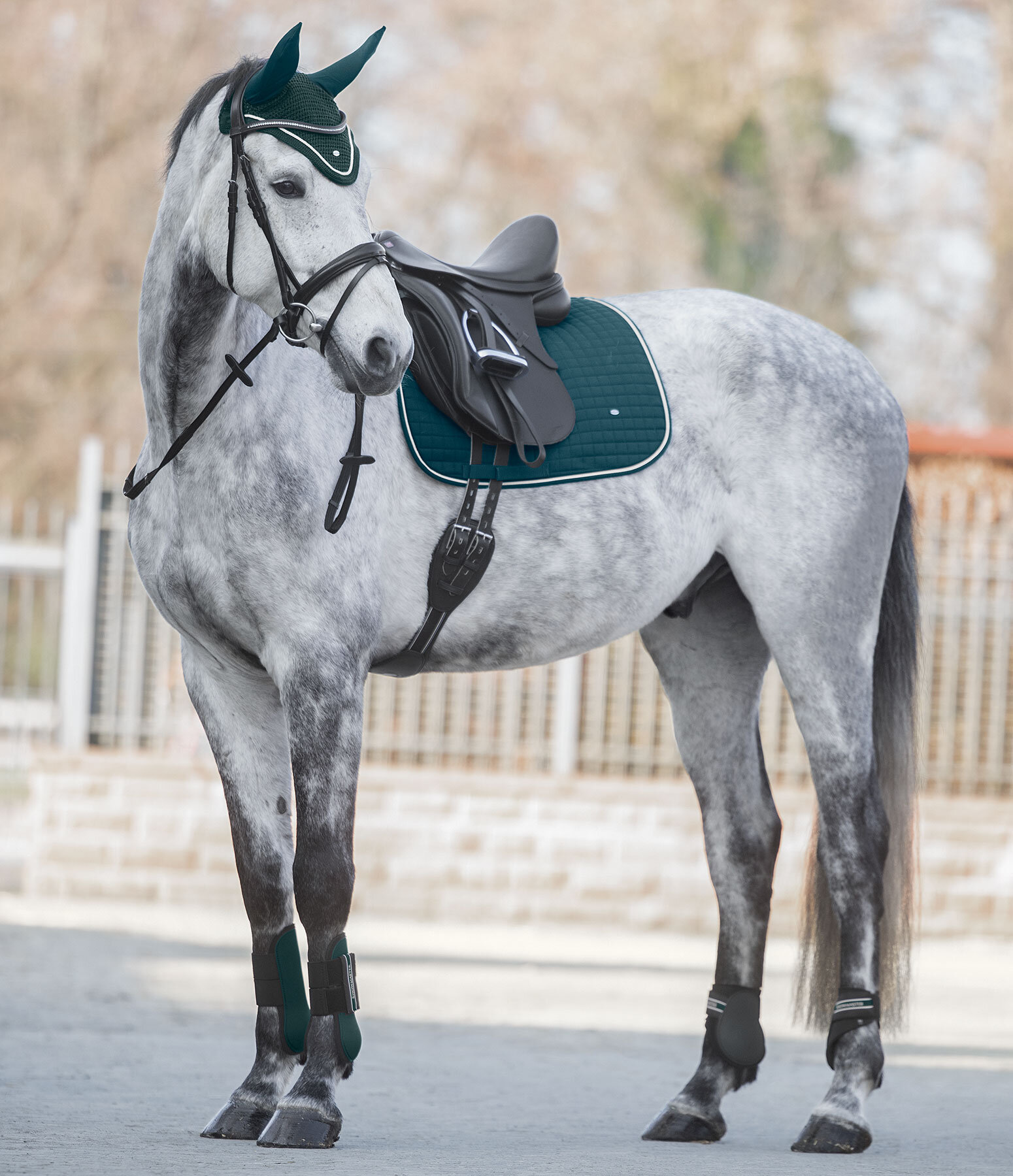 Ensemble Showmaster Basic en vert d'eau