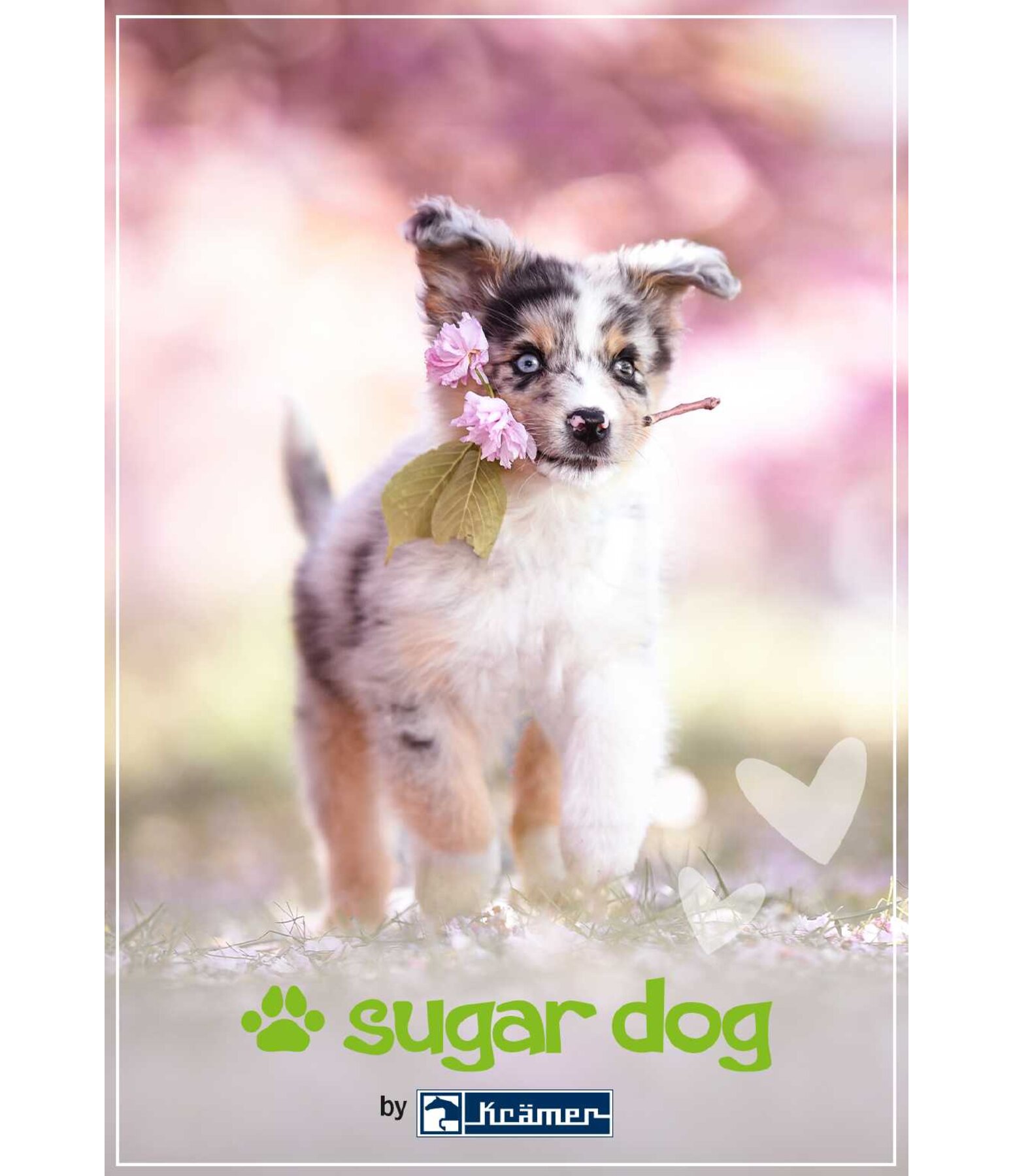 Bon cadeau  imprimer