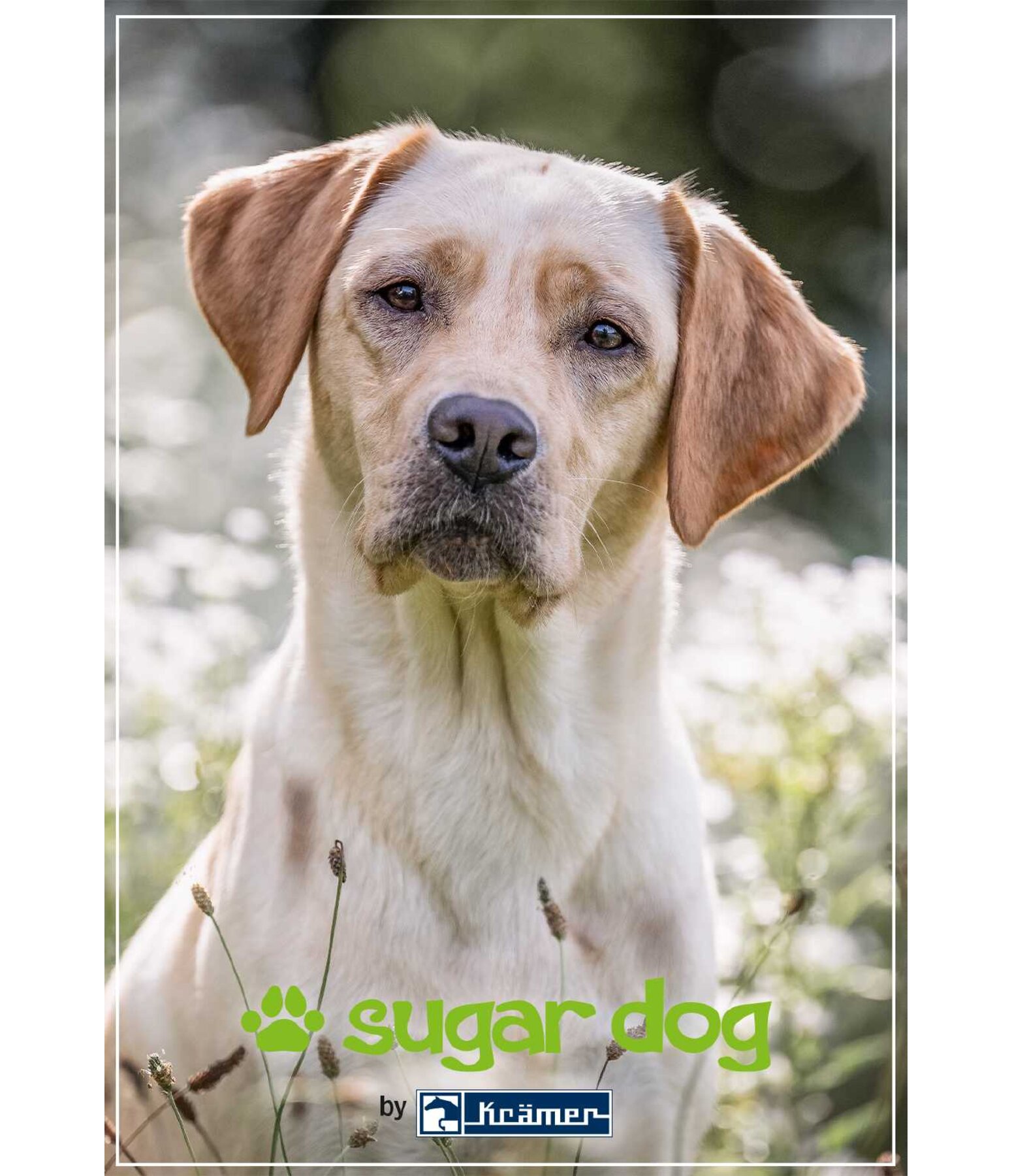 Bon cadeau � imprimer