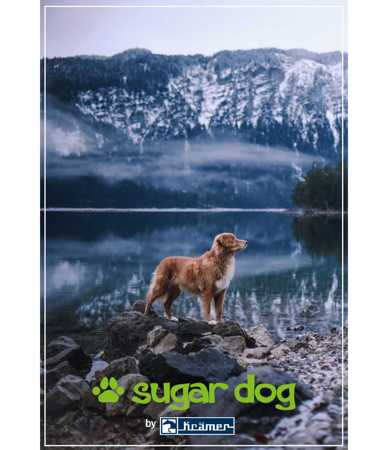 Bon cadeau  imprimer