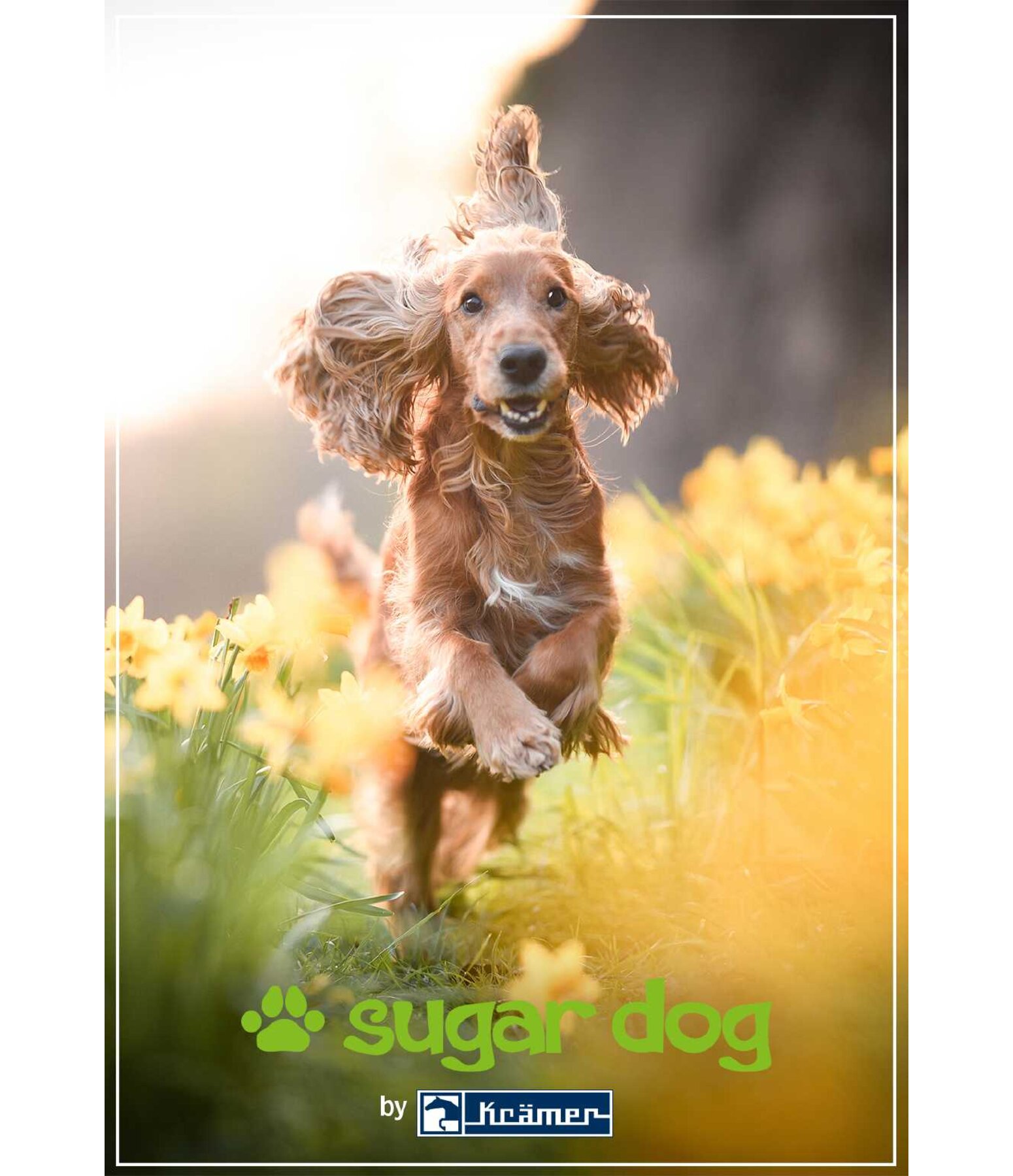 Bon cadeau  imprimer