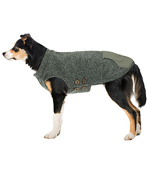 sugar dog Pull-over pour chiens  Seb - 230951-M-TY