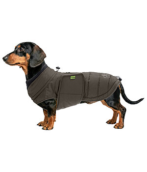 sugar dog Manteau d'hiver pour teckel  Henry 200 g - 231311-S-DO