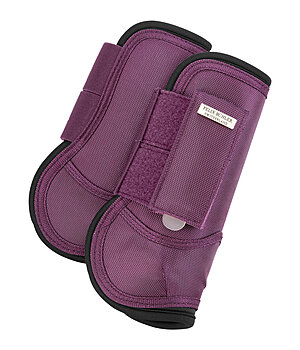 Felix B�hler Gu�tres  Sophistication - 290019-F-BV