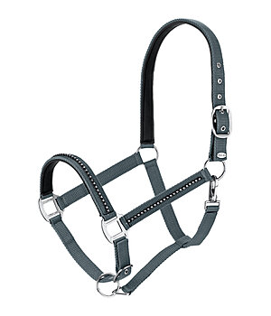 SHOWMASTER Licol  Brilliant - 310031-F-DZ