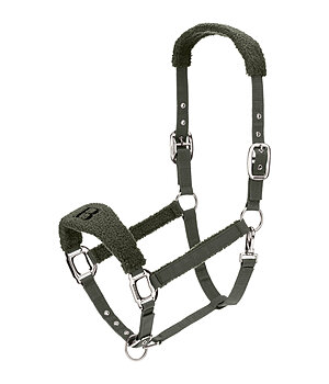 Felix B�hler Licol  Teddy - 310082-F-O