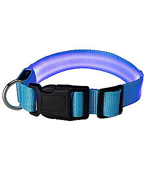 STEEDS Collier pour chien LED  Loom - 340991