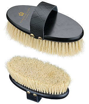 CLASSIC LINE by SHOWMASTER Brosse Classic Line by SHOWMASTER - 432249