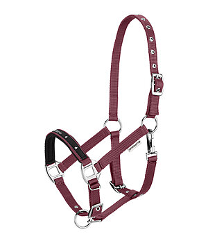 SHOWMASTER Licol poulain et shetland  Future Star - 440843-SH-WB