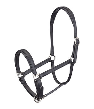 SHOWMASTER Licol poulain et shetland en cuir  Siri - 440944-SH-SS