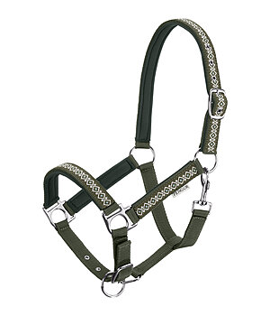 FENGUR Licol  Kngur - 580017-C-DG