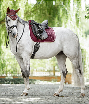 Baskets bandes colorés imprimé fer à cheval et logo Femme US POLO à