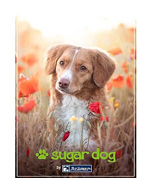 Kramer Bon cadeau  imprimer - GUTZA101-5W