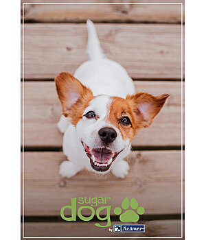 sugar dog Bon cadeau � imprimer - GUTZA114-5W
