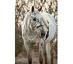 Licol  noeuds avec rnes Mecate  Merano