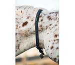 Collier d'encolure  Loki