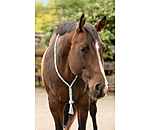 Neck Rope en coton  Tapeka