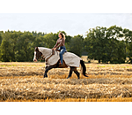 Couvre-reins anti-mouches western avec couvre-cou enroulable