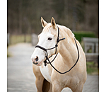 Ensemble licol  noeuds  All-in-One