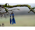 Porte-cl�s  Waleah