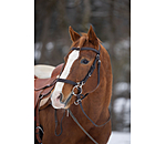Bridon de randonn�e  Nevada