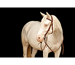 Bridon de travail western  Buckle End