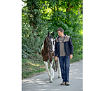 Veste sweat homme  Jasper