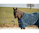 Chemise s�chante  Sitka