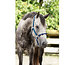 Licol � noeuds  Hybrid