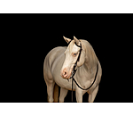 Bridon deux oreilles  Leaves